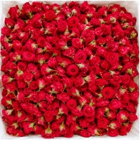 Pooja Flowers - Button Rose